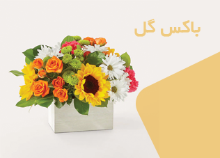 باک pvc